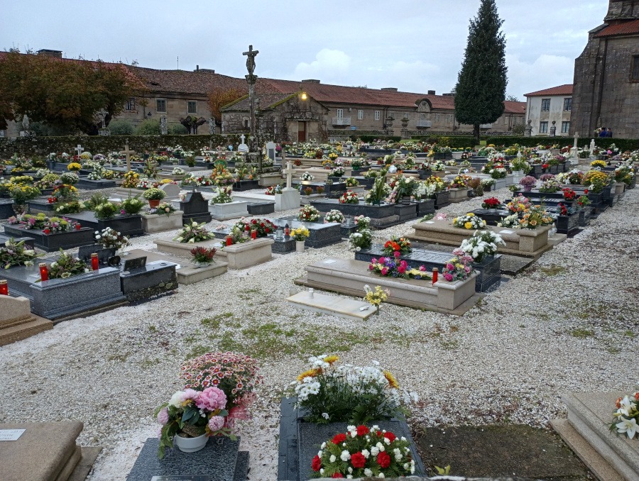 Cemetery filled with flowers.