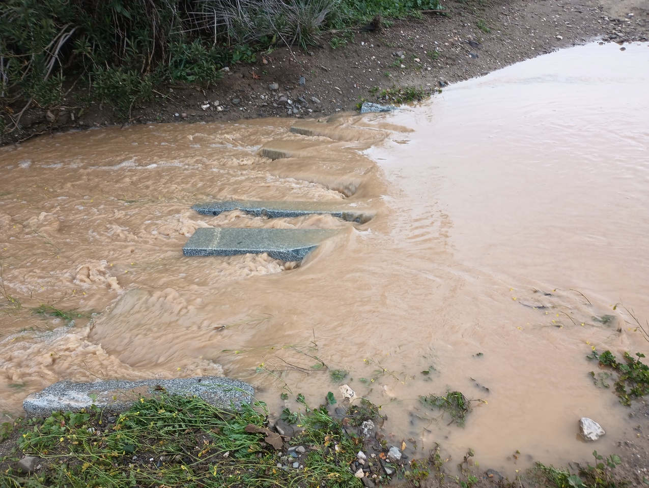 Water flowing over stepping stones in a river.