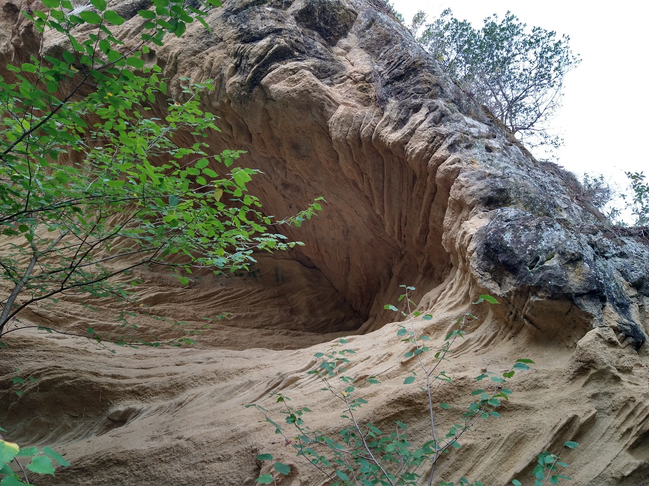 Rock formations.