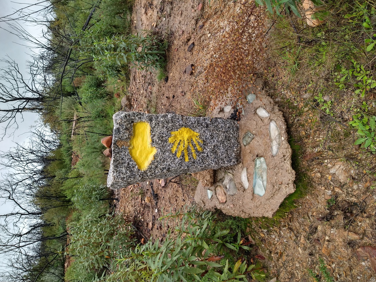 Scallop shell and yellow arrow markers on sign.