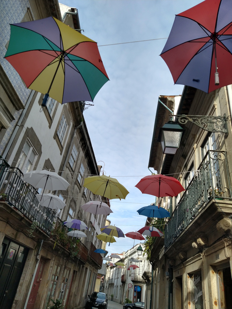 Umbrellas hanging above a street.
