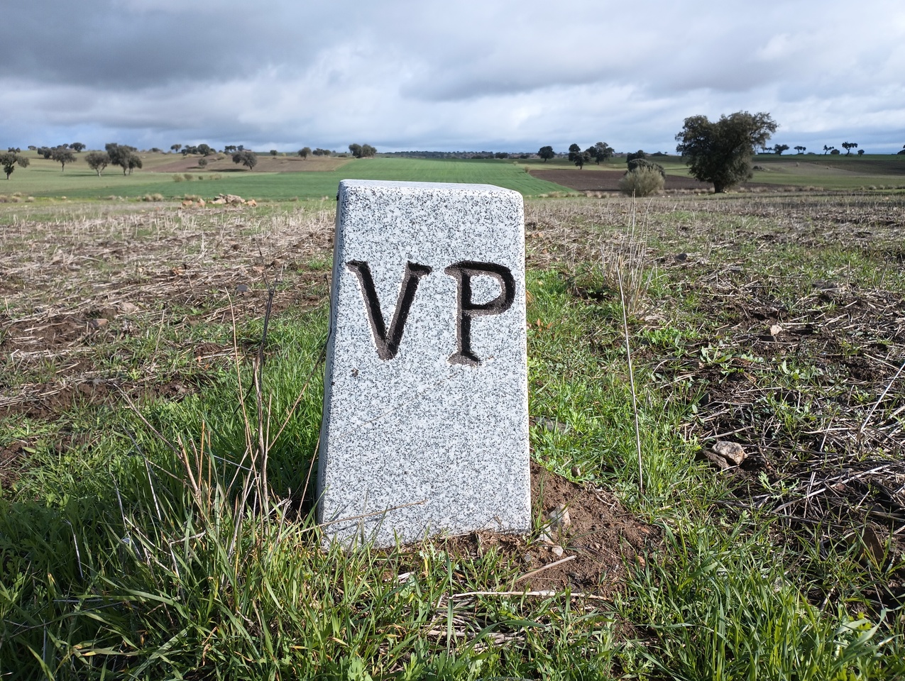 The letters VP carved on a granite stone.