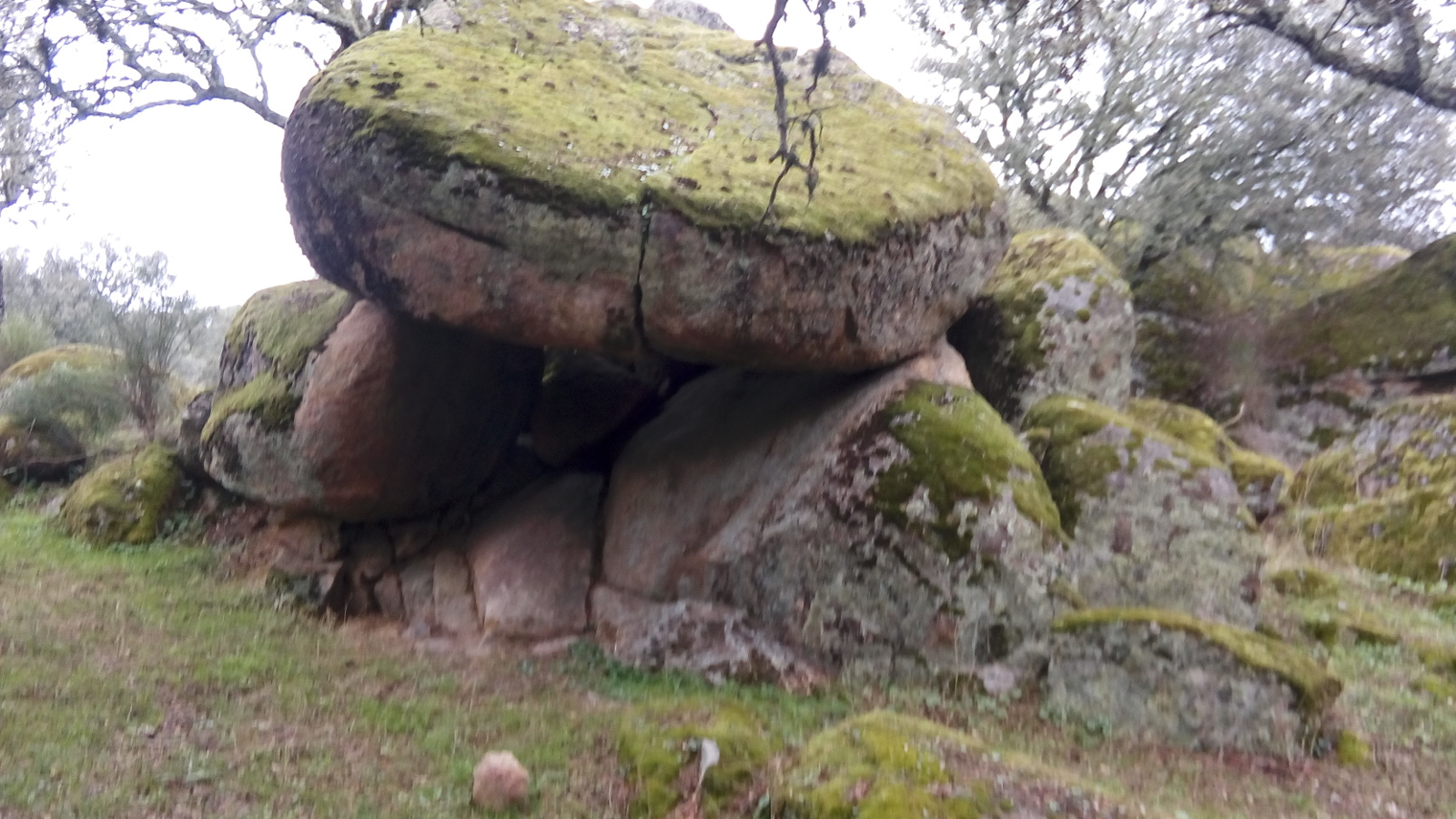 Giant moss-covered boulders.