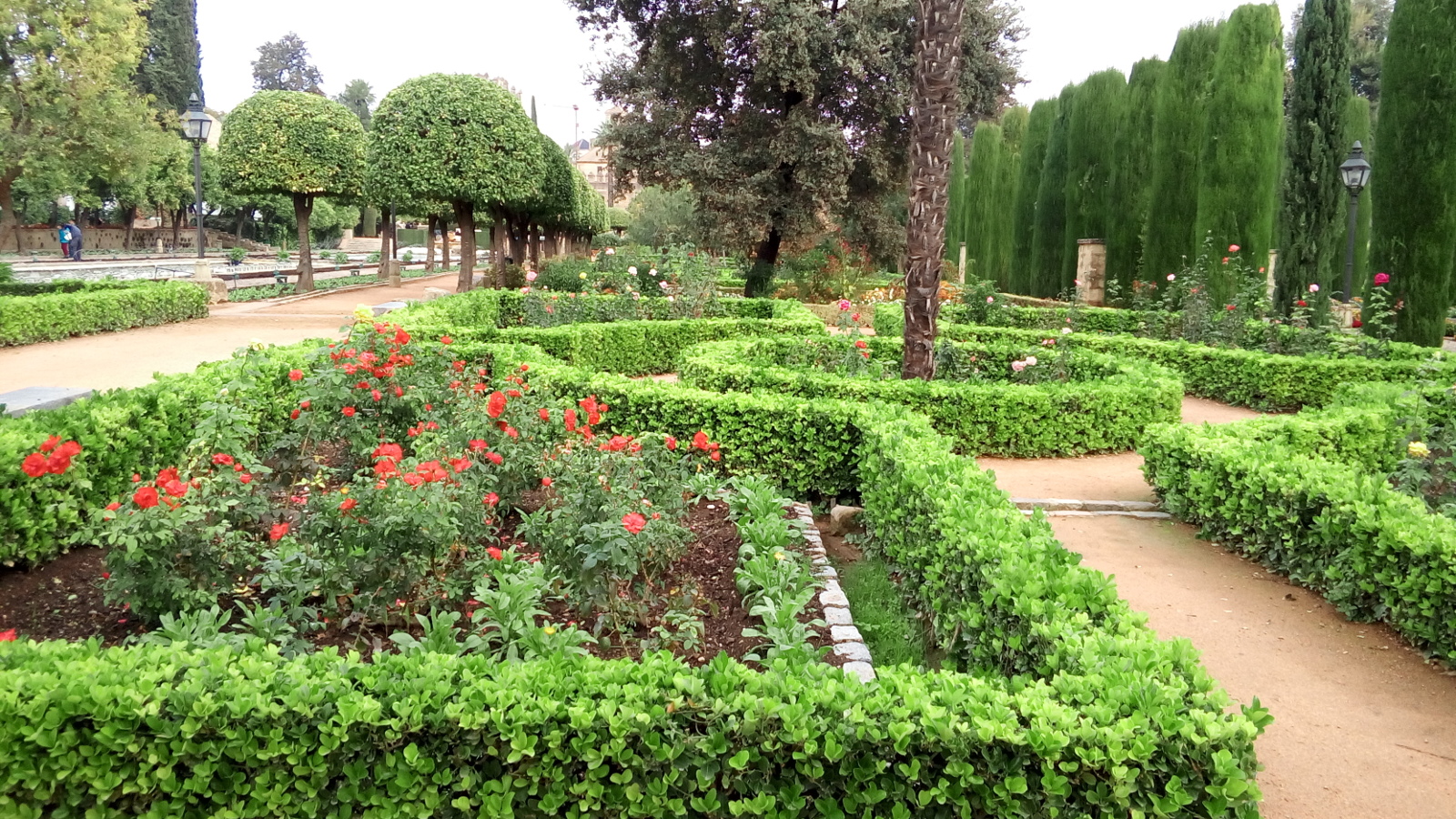 Hedges and ponds in a garden.