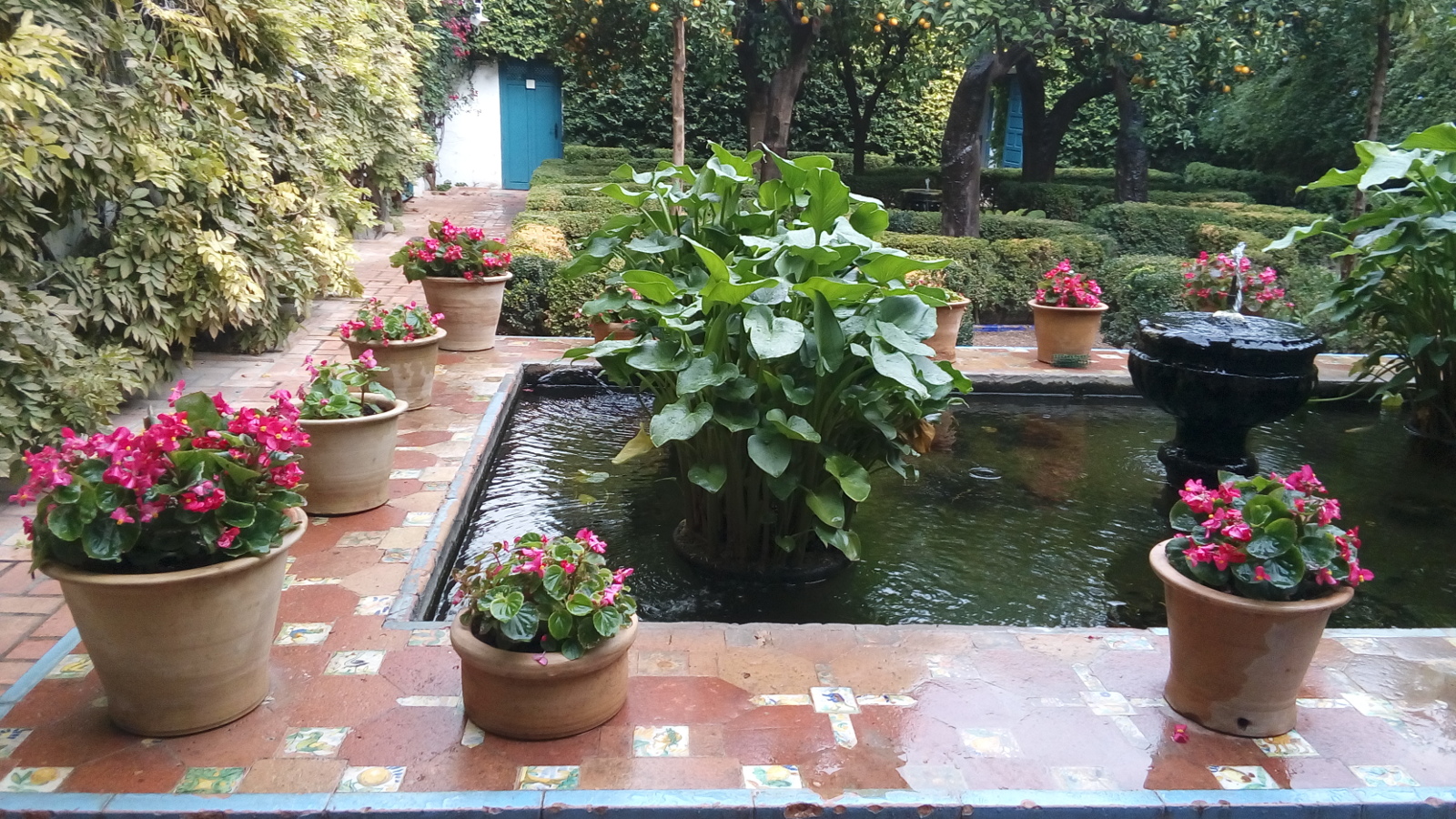 Pond on a patio.