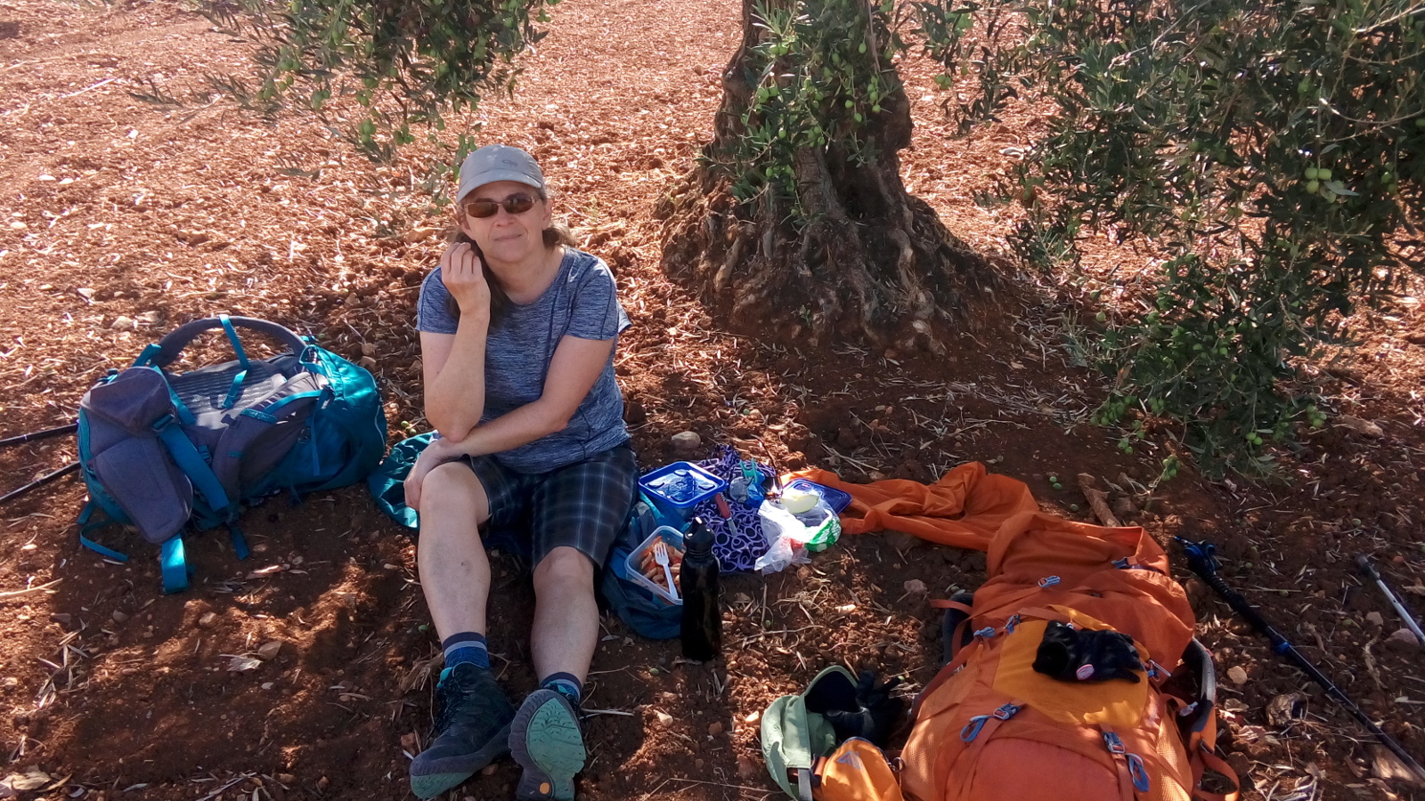 Picnic under an olive tree