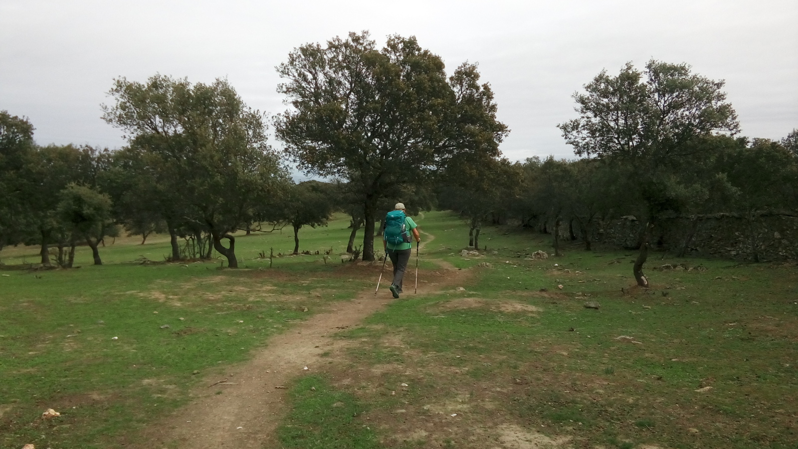 Rosemary walking on a narrow path