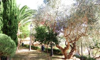 Garden in Cáceres.