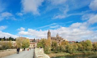 Salamanca and the bridge. 