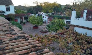 Early morning light at Cortijo Carrillo.