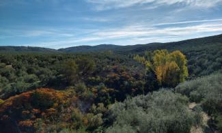 View fro the Vía Verde del Aceite.