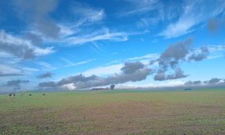 Wispy clouds above newly planted field.