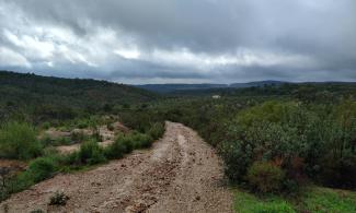 Dirt road and stormy sky.
